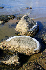 Sea reefs in the natural environment