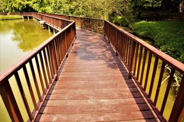 Fototapeta premium wooden bridge in the forest
