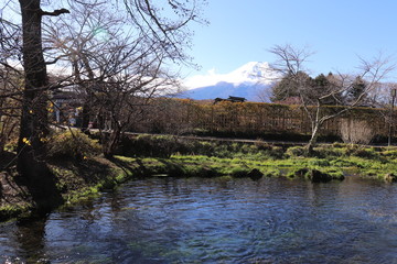 世界遺産・富士山の構成資産、忍野八海（濁池）