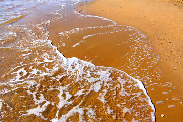 sand reef and water in the wild