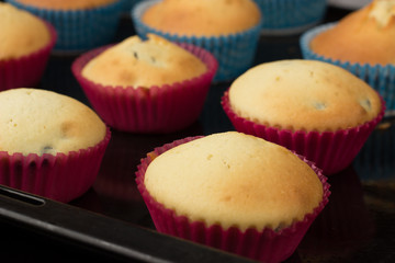 Cupcakes in paper cups on a black baking sheet.