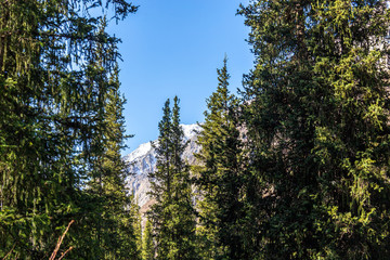 Scenic landscape in Ala Archa national park in Tian Shan mountain range, Kyrgyzstan