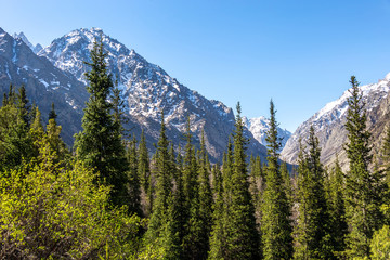 Scenic landscape in Ala Archa national park in Tian Shan mountain range, Kyrgyzstan