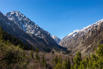 Scenic landscape in Ala Archa national park in Tian Shan mountain range, Kyrgyzstan