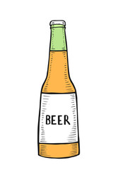 vector bottle of beer