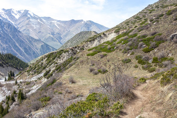 Scenic landscape in Ala Archa national park in Tian Shan mountain range, Kyrgyzstan