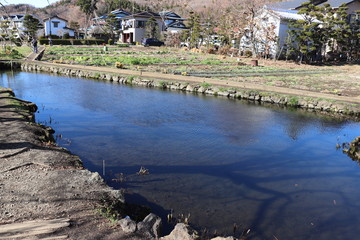世界遺産・富士山の構成資産、忍野八海（菖蒲池）