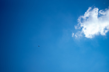 kleines Flugzeug am Himmel Flugzeug mit Wolke am blauen Himmel