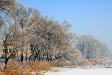 Rime natural landscape in north China