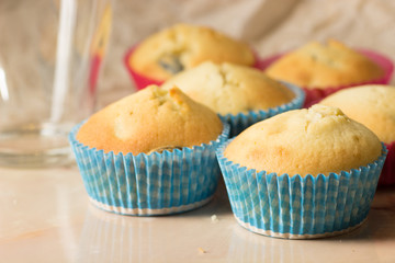 Cupcakes in colored paper forms on the table.
