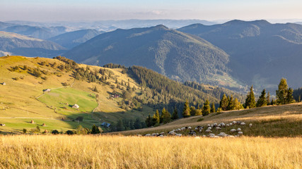 Sheepfold in the mountains