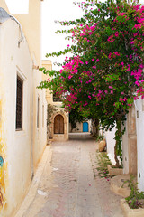 Fototapeta na wymiar A cozy courtyard with a large flowering bush. Old wooden doors. Street with stone houses. Tunisia