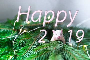 spruce branches lie new year symbol of the year gilt ring decor