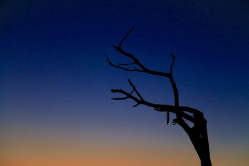 ボツワナの風景、アフリカ