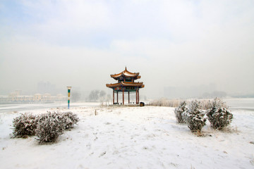 snow-covered landscape in a park