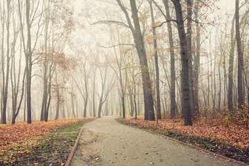 Path in city park on a cold and foggy November morning