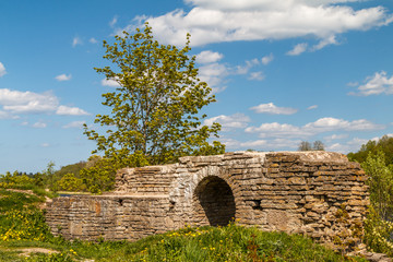 Obraz premium Ruins of the medieval fortress in Staraya Ladoga town, Russia