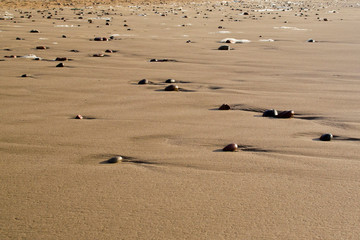 Fototapeta na wymiar Coast, sand on the beach