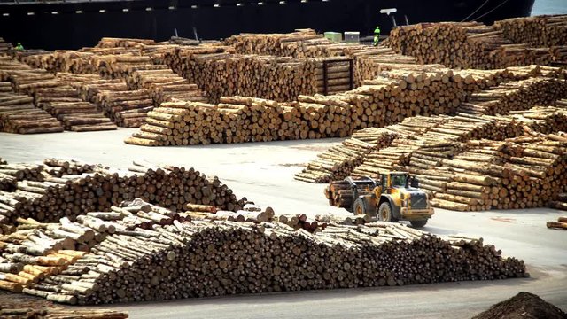 Log grabber loading timber cargo on Bulk Carrier in dock at Lumberyard Picton South Island New Zealand