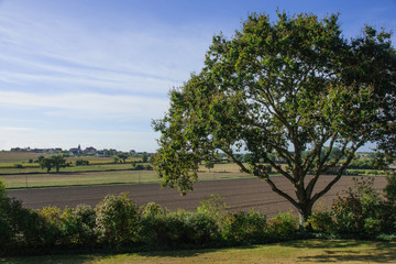 Fototapeta na wymiar Countryside in Normandy
