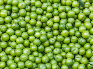 Erik, or greengages, often called sour green plums, eaten in Turkey.