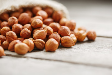 Chiselled hazelnuts in a bag of burlap on a gray wooden table. Organic Fresh Harvested