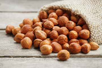 Chiselled hazelnuts in a bag of burlap on a gray wooden table. Organic Fresh Harvested