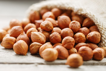 Chiselled hazelnuts in a bag of burlap on a gray wooden table. Organic Fresh Harvested