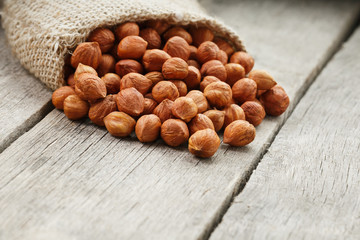 Chiselled hazelnuts in a bag of burlap on a gray wooden table. Organic Fresh Harvested