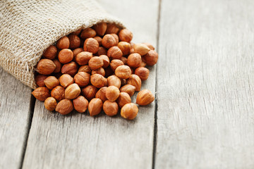Chiselled hazelnuts in a bag of burlap on a gray wooden table. Organic Fresh Harvested