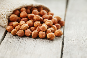 Chiselled hazelnuts in a bag of burlap on a gray wooden table. Organic Fresh Harvested