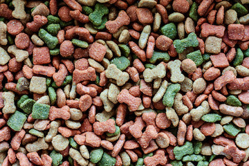 Dried pellet dog food for animal and pet care concept