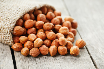 Chiselled hazelnuts in a bag of burlap on a gray wooden table. Organic Fresh Harvested
