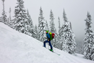 Naklejka na ściany i meble Male skier freeride skitur uphill in snow in winter forest
