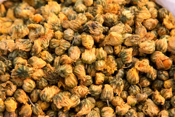 Chinese herbal medicine drying chrysanthemum