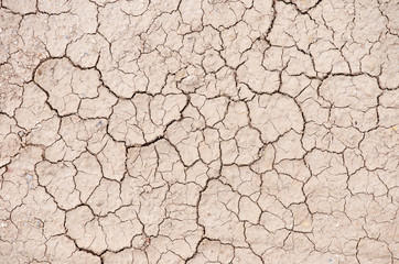 cracked earth texture