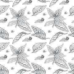 Botanical seamless pattern. Hand drawn illustration of Mint. Floral texture. Background with mint leaves and flowers. Sketch style © Marina_Eisymont