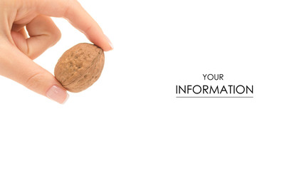 Female hand with walnut pattern on white background isolation