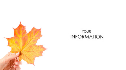 The autumn leaves in hand pattern on white background isolation