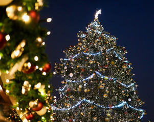 Christmas Tree and Lights
