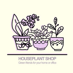 Cute pots with blloming housplants. Hand drawn vector illustration