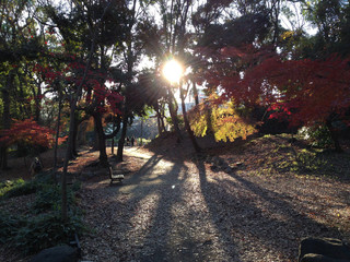 Tokyo park