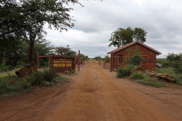 Molatedi Gate zum Madikwe Game Reserve in S&uuml;dafrika