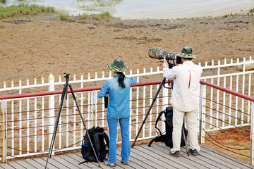 A man and a woman two photographers were photographing in a wetland park, china