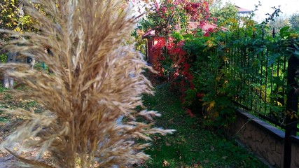 Фото природа Украины