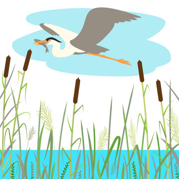  blue  heron flying , vector illustration , flat style 