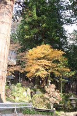 世界遺産・河口浅間神社の建造物