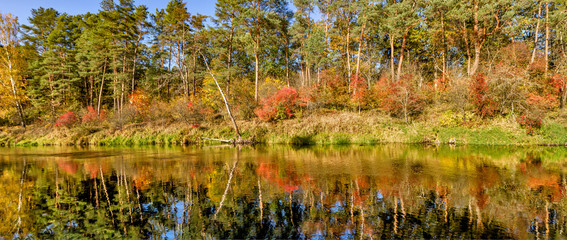 Golden Autumn at the river panorama