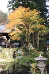 世界遺産・河口浅間神社の建造物