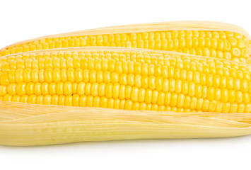 corn isolated on white background